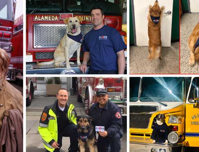 Firehouse K9s Share CBYD Message for #NationalPetDay