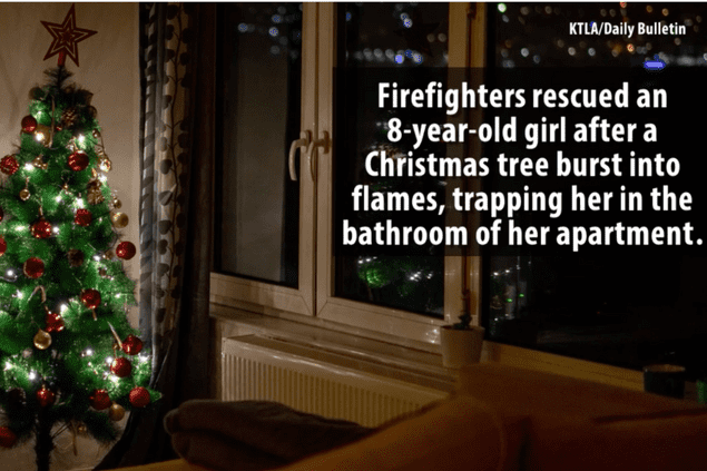 christmas tree in living room